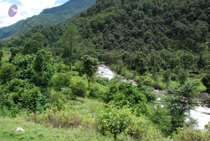 20080707 Photo 1487 1w9PM6sls WqLCT bnwDdfCicpouOPsvU.JPG