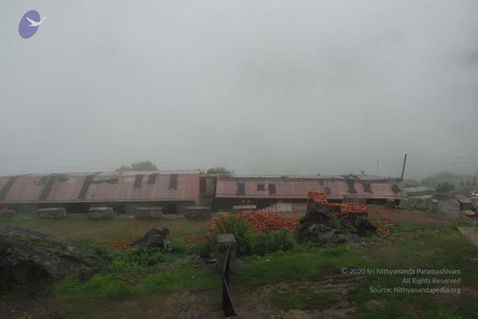 20080707 Photo 1506 1VcUk4vGfcqTEYsjy8X7y3uVb4BO Coad.JPG