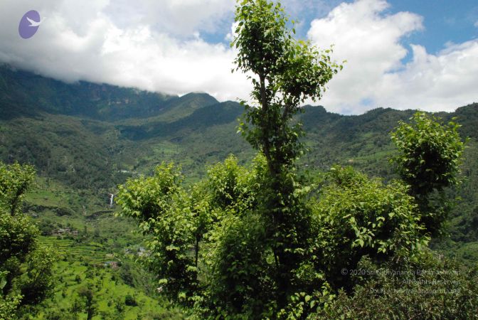 20080707 Photo 1510 1DwBFlqWnrkRsAkgeRi6m AvQ5va-kG0D.JPG