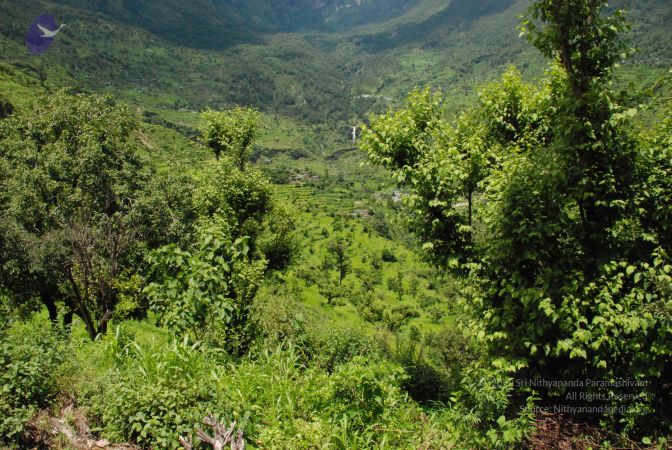 20080707 Photo 1515 1ccatg184QA4IOj8ujvLXuL1eAEJS4VMl.JPG