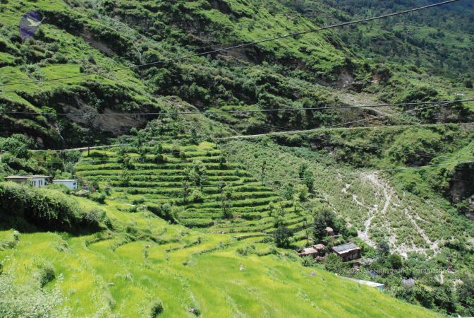 20080707 Photo 1527 1ASAJwIvfCKTWctoSqxgzy5LATVIPH1WN.JPG