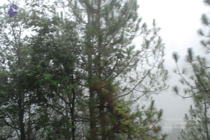 20080707 Photo 1531 1JwHAxj4V6U5LSDcODce37GL0mc fkk2c.JPG