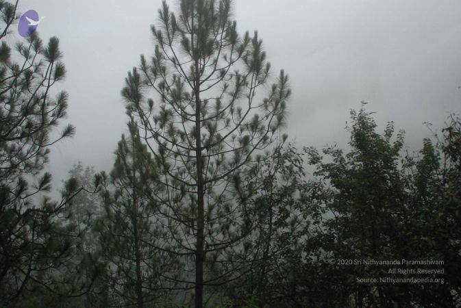 20080707 Photo 1532 1fG7dWz0uwBithclaDznJlcEk27XI 4Oz.JPG