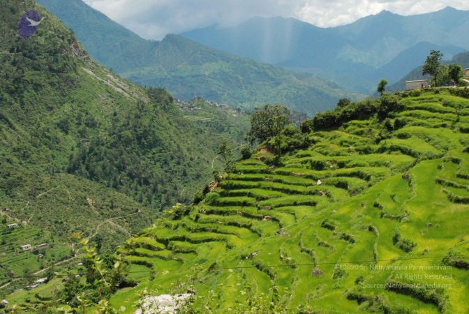 20080707 Photo 1534 12WPaIkSxUV5OZngDHloPTBTDTOL-JcE3.JPG