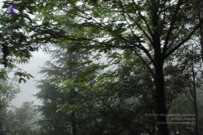 20080707 Photo 1535 17GKGOOYlL3I53pgO5mT1anwXbXk1hUF6.JPG