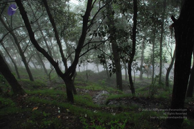 20080707 Photo 1542 1z9ufwXZw3mDPg6nlSlIGOLo4rT6iUTCP.JPG