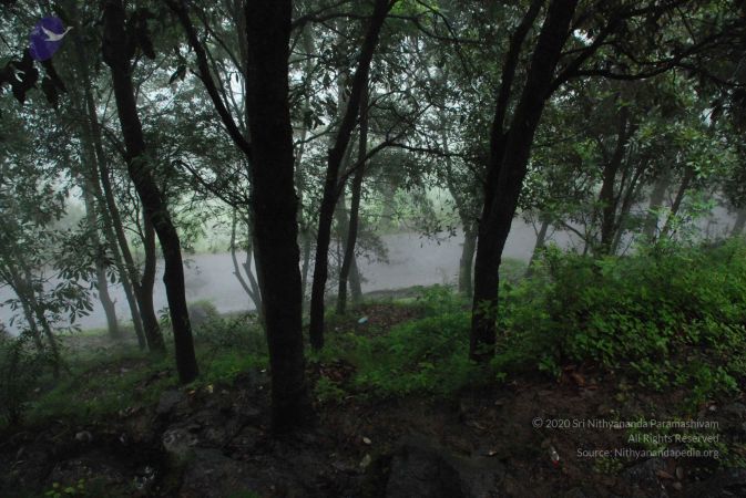 20080707 Photo 1543 17ODG2u0-EjTAnVF4SpsUDT0bko5GoWi5.JPG