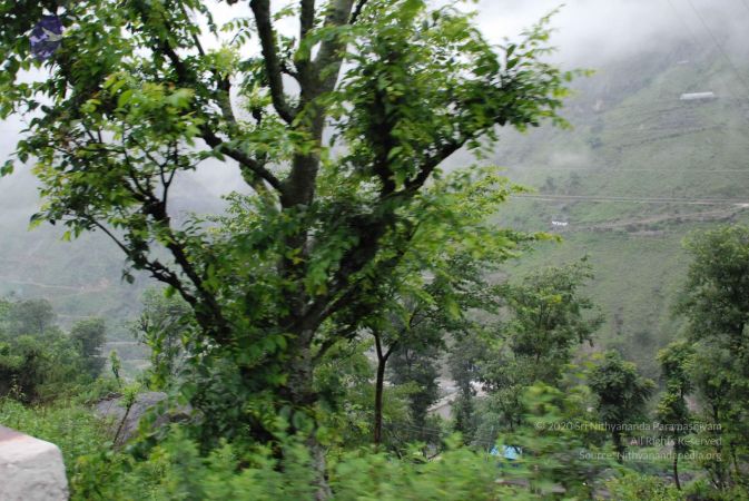 20080707 Photo 1564 1TvA2yHZLEFLWBTXIFplmR62rElhKv90r.JPG