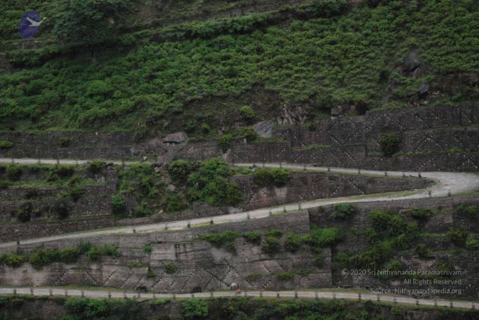 20080707 Photo 1589 1Lc179bnysOXtEAhF5vhAbBOcbqDupvhf.JPG