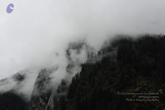 20080707 Photo 1707 1wdvCneYUSVINof4YMhZNM9vKJvk0l zw.JPG