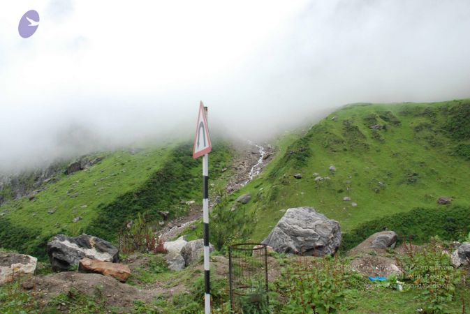 20080707 Photo 1780 1 j 3FFw0WpuVPymKj2NsGJYJvDIlfa a.JPG