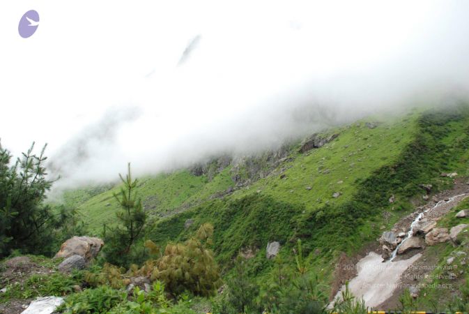 20080707 Photo 1783 1q4w5bPyNZQzMl5TBhhlieyvuPkUdFqhY.JPG