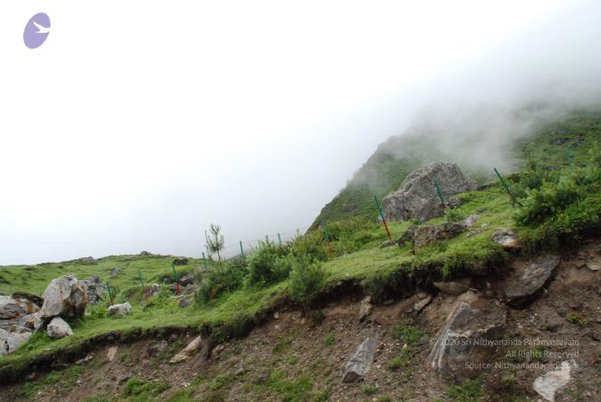 20080707 Photo 1787 1pXoKgLkmnshdzpyrcZHRvHwSfqHdfqB4.JPG