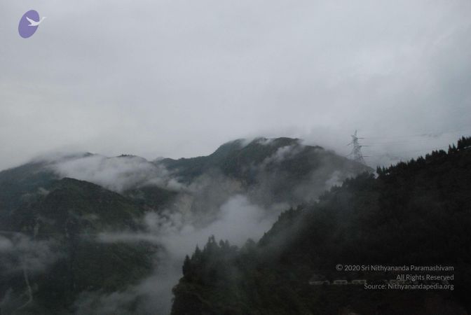 20080708 DSC 0037 CMP WM.jpg