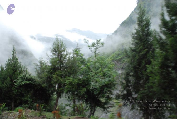 20080708 DSC 0080 CMP WM.jpg