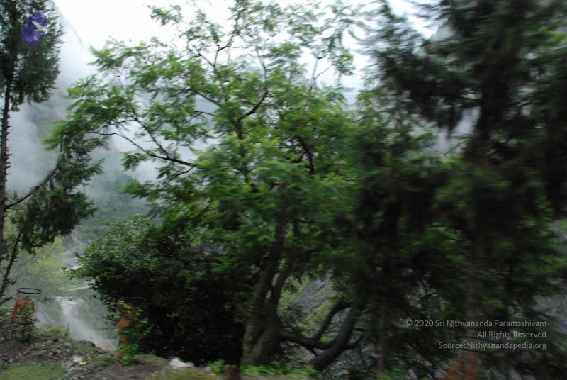 File:20080708 DSC 0083 CMP WM.jpg
