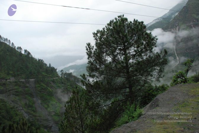 20080708 DSC 0094 CMP WM.jpg