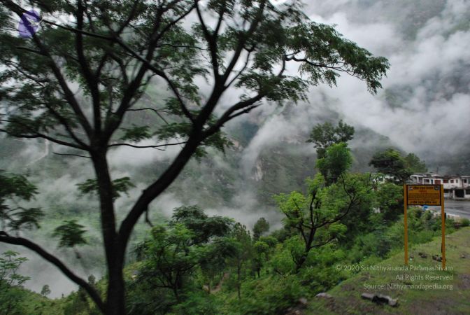 20080708 DSC 0100 CMP WM.jpg