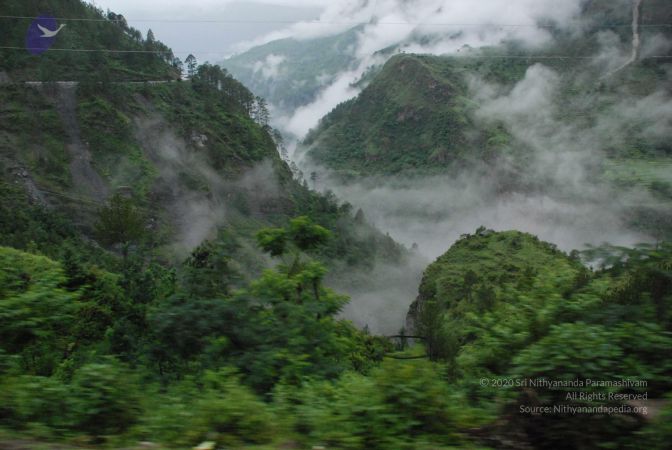 20080708 DSC 0103 CMP WM.jpg