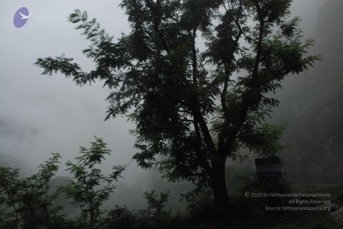 20080708 DSC 0120 CMP WM.jpg