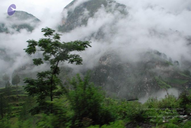 20080708 DSC 0128 CMP WM.jpg