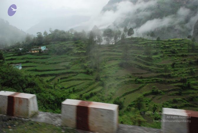 20080708 DSC 0133 CMP WM.jpg