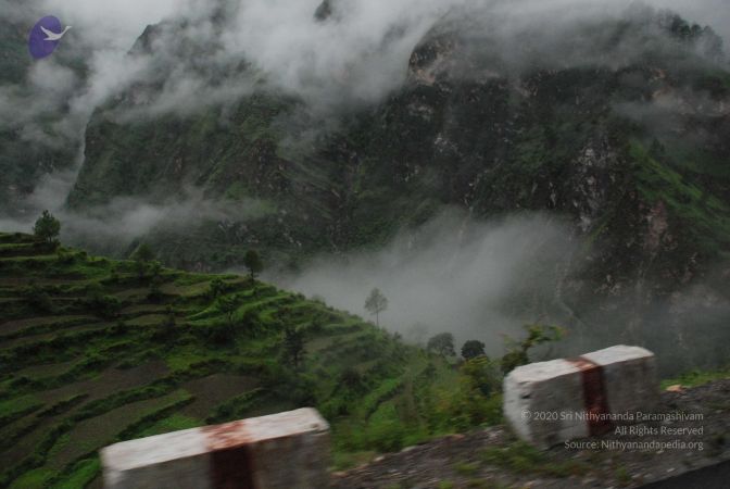 20080708 DSC 0140 CMP WM.jpg