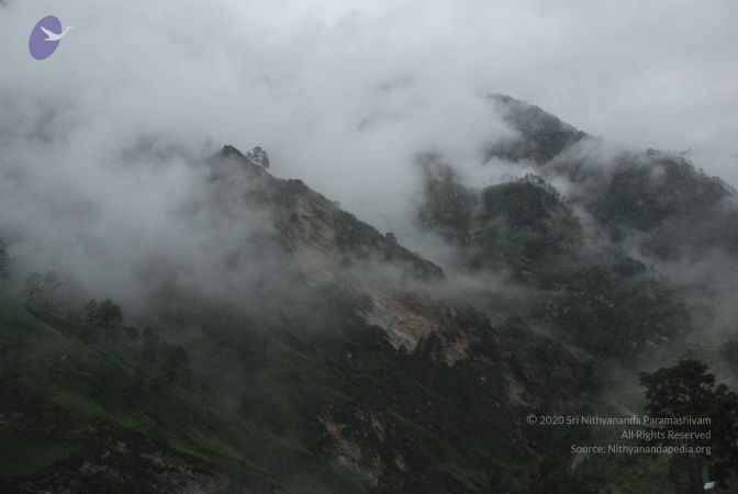 20080708 DSC 0163 CMP WM.jpg