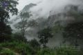 Thumbnail for version as of 11:50, 6 May 2021