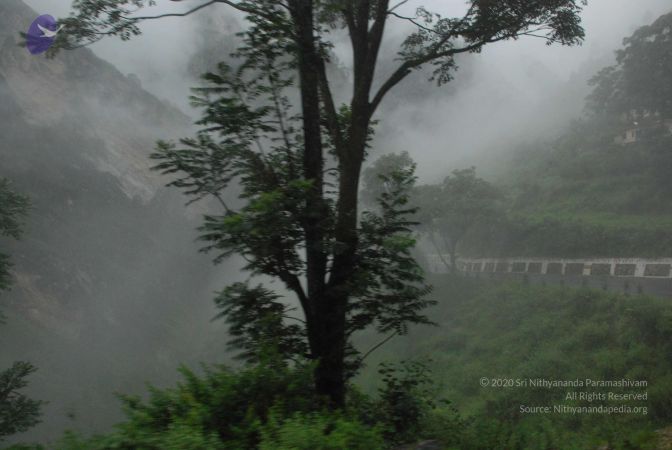 20080708 DSC 0170 CMP WM.jpg