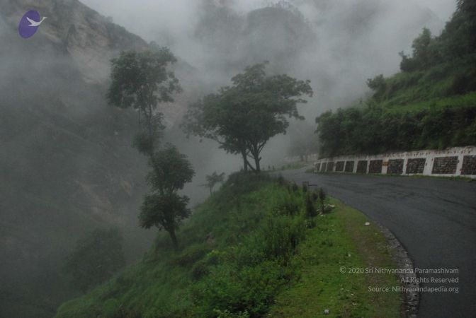 20080708 DSC 0173 CMP WM.jpg