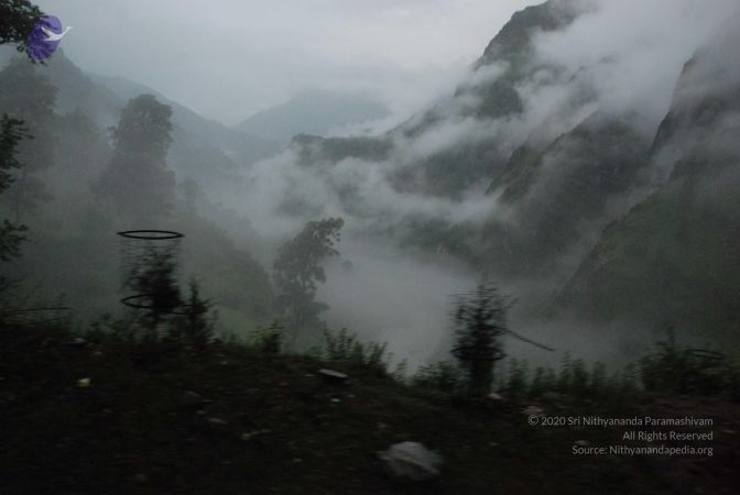 20080708 DSC 0176 CMP WM.jpg