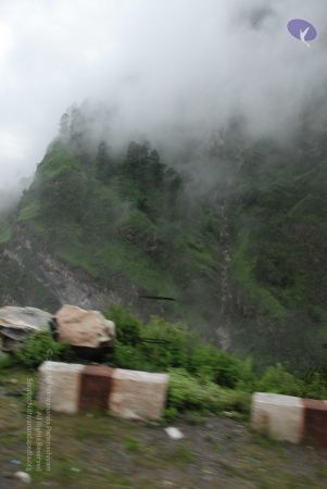 20080708 DSC 0186 CMP WM.jpg