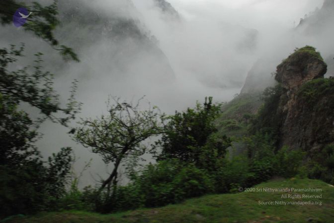 20080708 DSC 0203 CMP WM.jpg