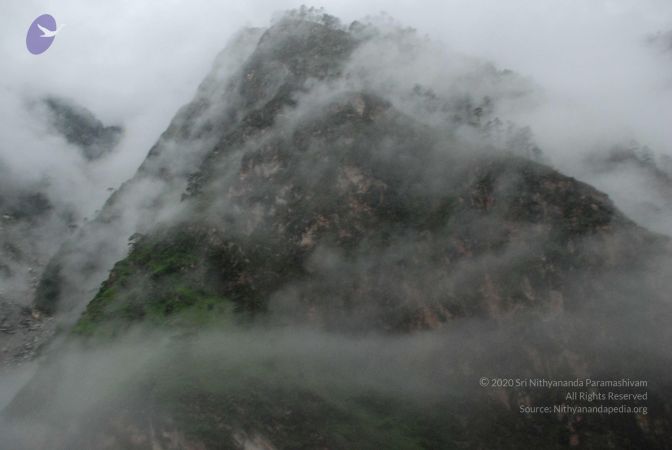 20080708 DSC 0236 CMP WM.jpg