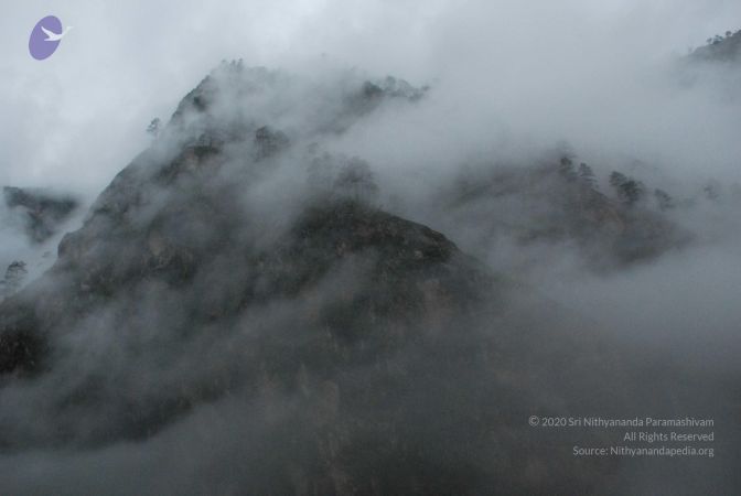 20080708 DSC 0249 CMP WM.jpg