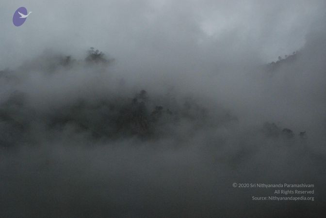 20080708 DSC 0251 CMP WM.jpg