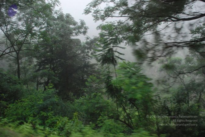 20080708 DSC 0258 CMP WM.jpg