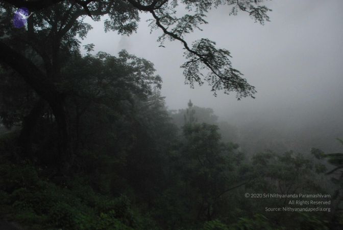 20080708 DSC 0260 CMP WM.jpg