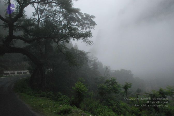 20080708 DSC 0261 CMP WM.jpg