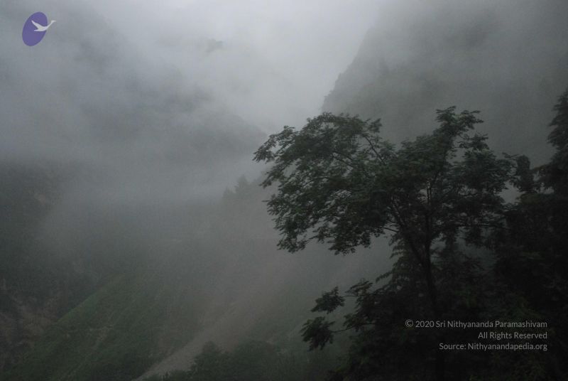 File:20080708 DSC 0265 CMP WM.jpg