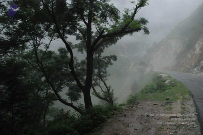 20080708 DSC 0267 CMP WM.jpg