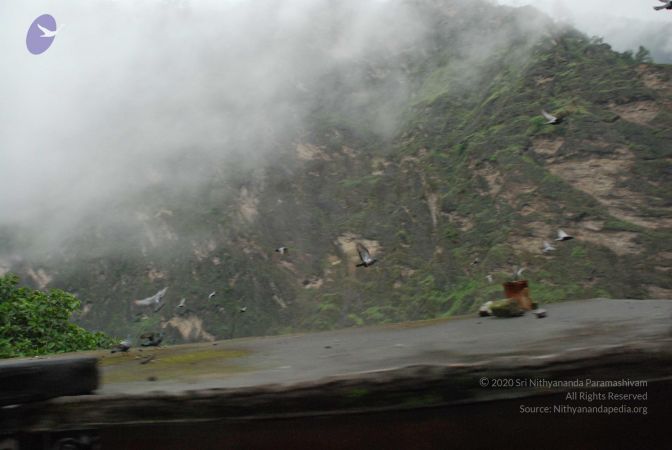 20080708 DSC 0322 CMP WM.jpg