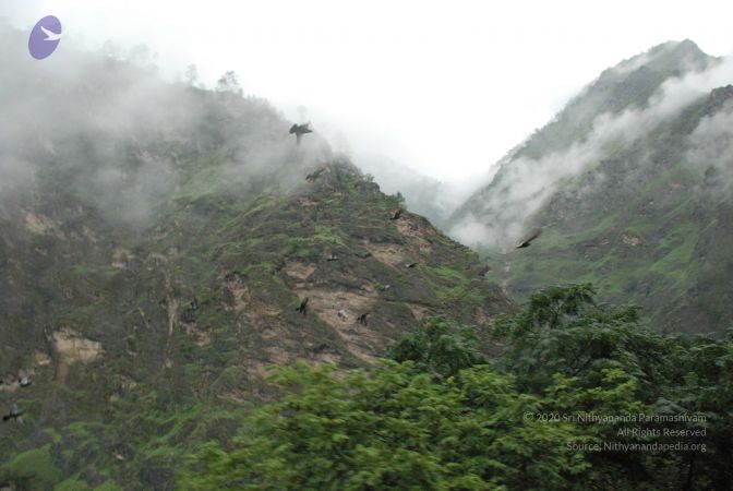 20080708 DSC 0323 CMP WM.jpg