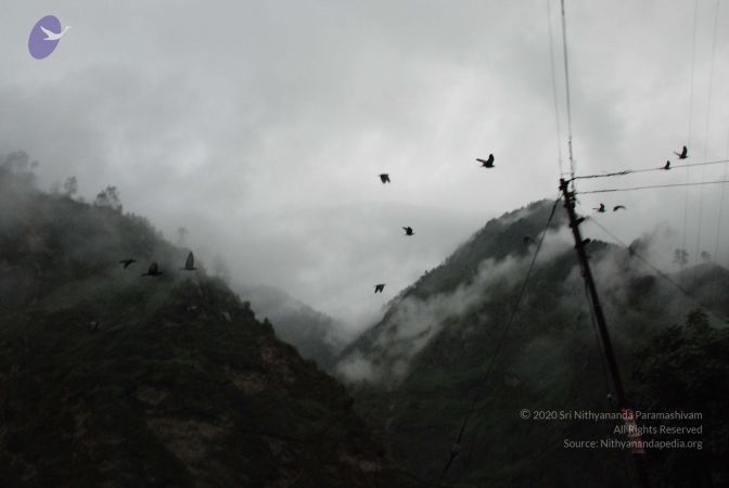 20080708 DSC 0324 CMP WM.jpg