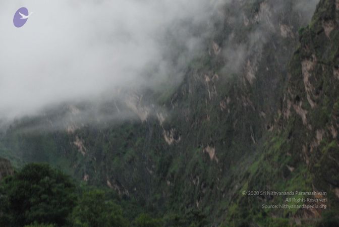 20080708 DSC 0354 CMP WM.jpg