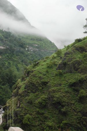 20080708 DSC 0367 CMP WM.jpg