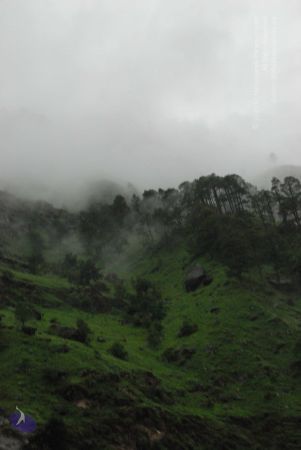 20080708 DSC 0373 CMP WM.jpg