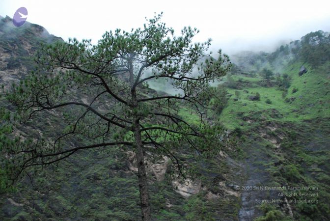 20080708 DSC 0375 CMP WM.jpg