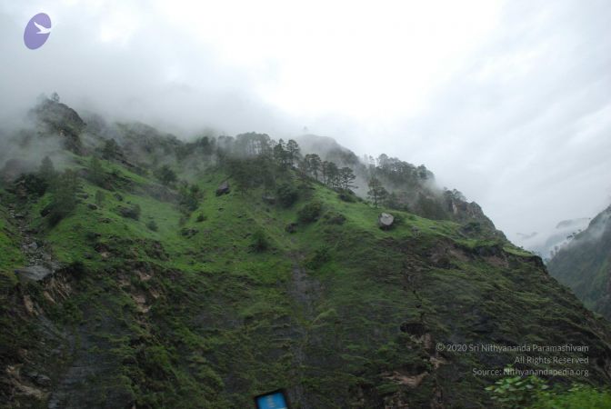 20080708 DSC 0376 CMP WM.jpg